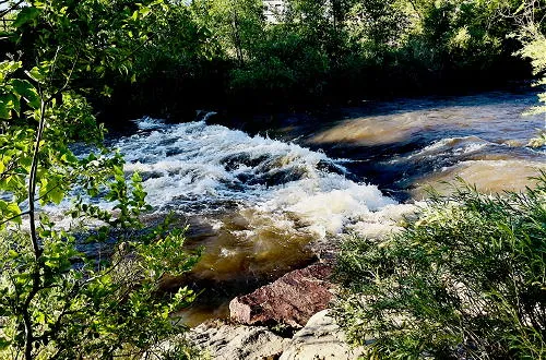 Hogback Update, Botanical Field Trip, Sunday at the Quilt Museum, and Sunday Swing