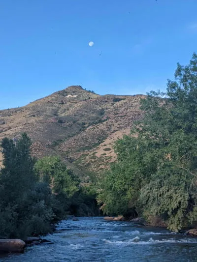 The DDA and the Gazebo