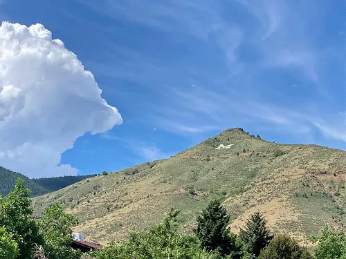 Cruise & Council, Trivia & Typhoid