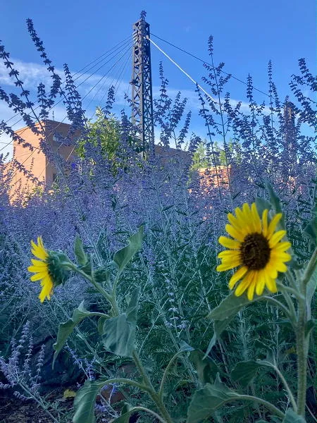 Farewell to Mark Dodge, Wildfire Meeting, Heritage Dells Begins