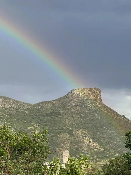 V.I.B.E. at 5, Augmented Reality, Art Trivia, the New City Manager, and Golden Rocks