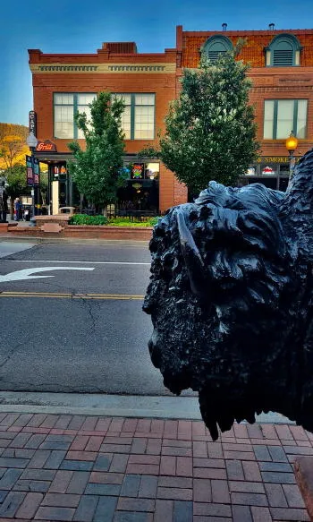 Bison and Nighthorse