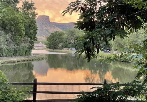 Arts Festival, Ceramics Studio Openhouse, Walking Tours, Music, War Efforts and Weed Fires