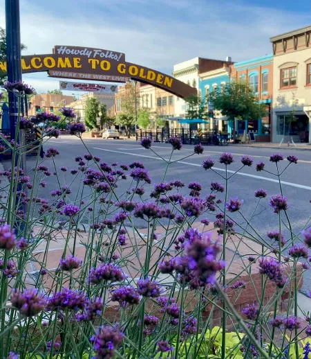 City Council: New Fire Truck, New Soccer Fields, Ongoing Demolition, New City Hall, Spending the Lodging Tax