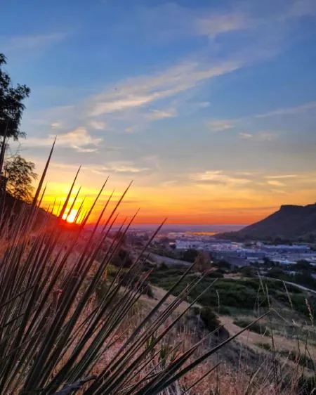 Possible Changes to Grants, Planters, and Traffic; Lights Coming to Miners Alley; a Map Showing Floodplains