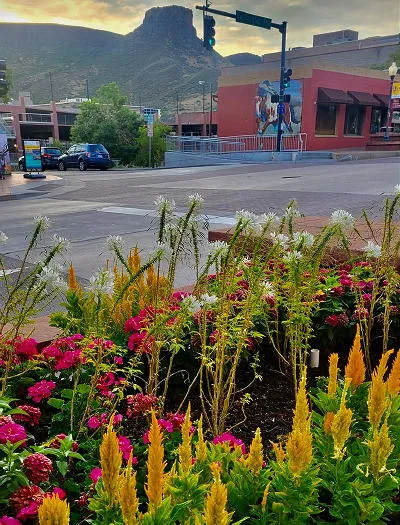 Registering and Rationing