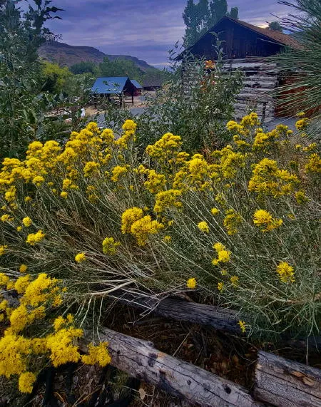 Tours, Sports, Plays, Music, and South Golden Road