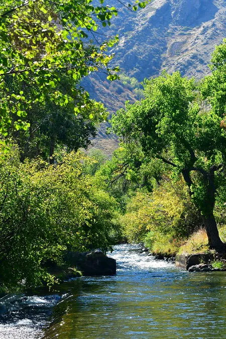 Zombie Bike Rides and Zombie Topics and a Store that’s Definitely Dead