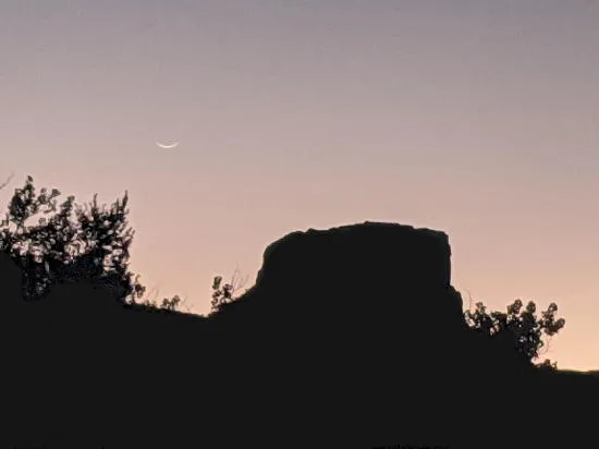 City Diversity Plan and Changes at the Grocery Store