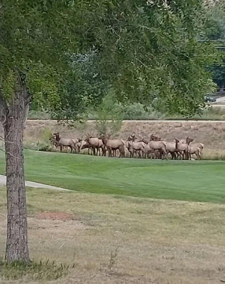 Fewer Seniors, More Density, Less Parking