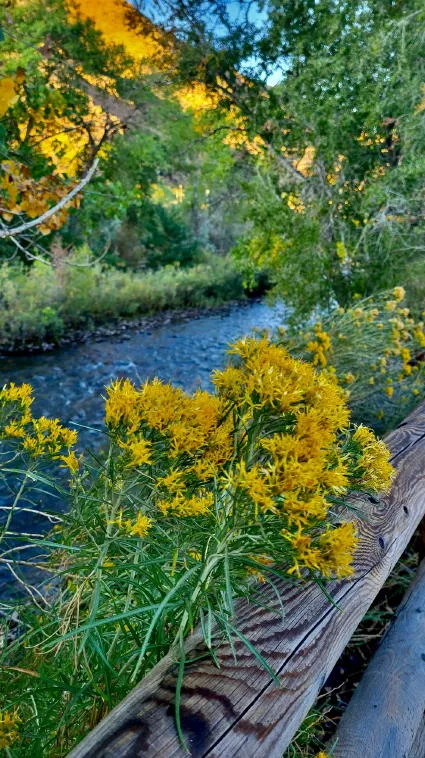 Party Day and a Great Old Photo