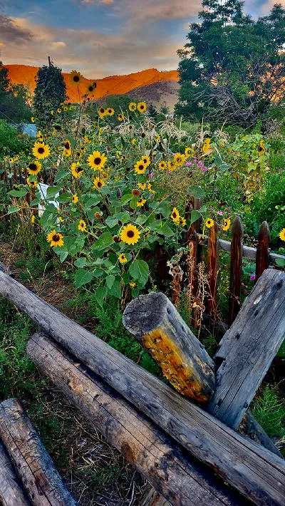 Golden Pride Days, Safety and Preparedness Day, and Streetcars in Golden