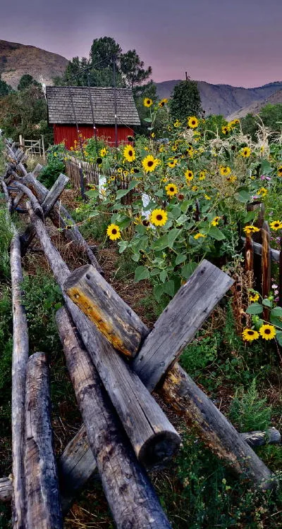 More About Affordable Housing and Looking Back Ten Years