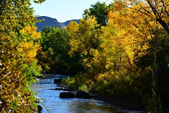 Fall Foliage, Galloping Geese, Talking Dead, and Esteemed Ranchers