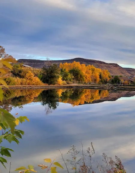 Harvest Haunt, Bag Day, and Remington Small Arms