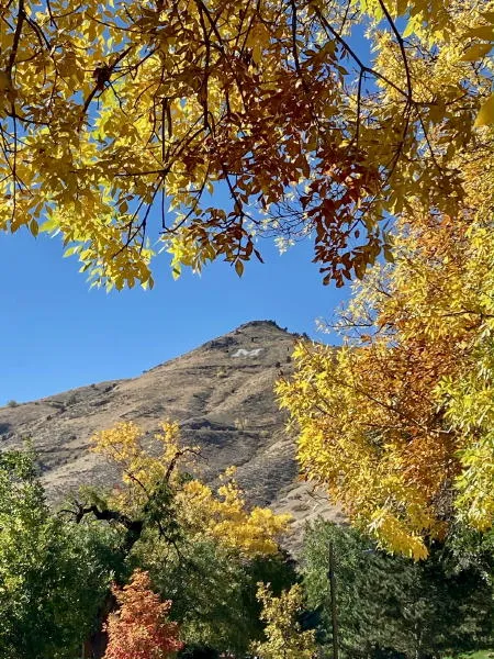 Duplexes, ADUs, and Additions