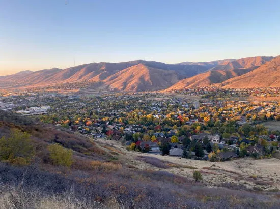 Whale Sale, Cocktails, Deaccessioning, and Creating Commons