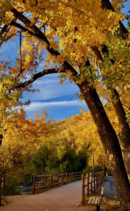 Mines Homecoming, Final Farmers Market, Free Day at the Rec Center, Cemetery Tours, and a ChiliFest at GCB