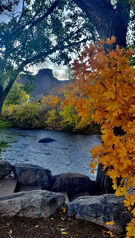 Locomotive Tour, Book Signing, Talking Dead, and Policing the Beavers