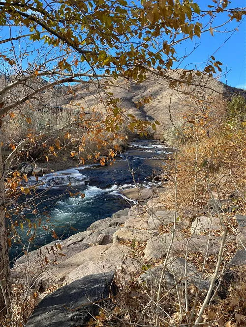 Parking, Drainage, Public Art, and an Essential Tannery