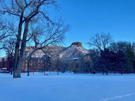 Monthly Appeal, Sustainability, and GVFD Anniversary