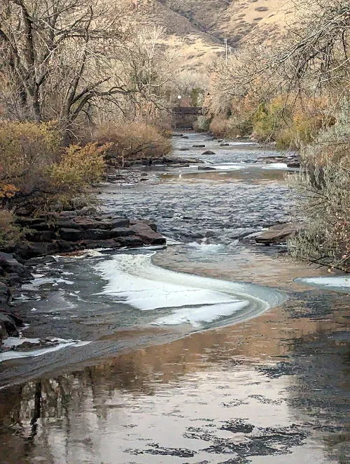 BGoldenN Fund Raiser, Parks Board, and Revisiting November 2012