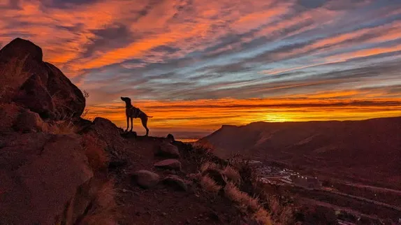 Hydroponics, Titanic, Drinking through Colorado, Planning Commission, and Dawn of the Quilt Museum