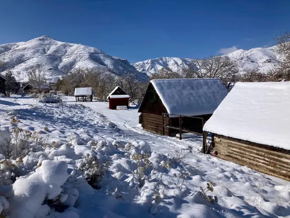 Free Take-Home Thanksgiving Meal and 2017 Revisited
