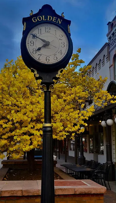 History and Geology, Theater, Art, Music, Football, and Prohibition