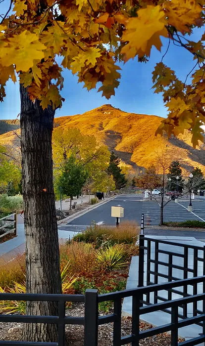 Secret Documents, Kitchen Hacks, and a Family Affair