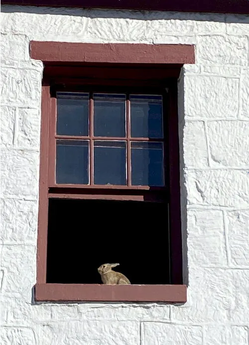 Local News, Senior Santa, and Ads of ’28