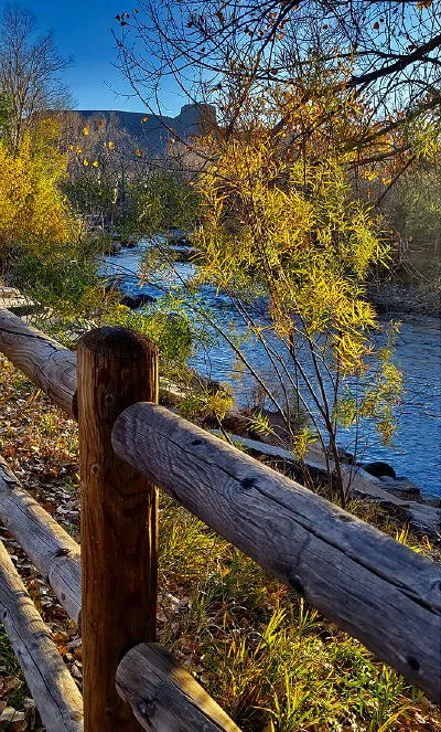 Reviewing Budgets, Honoring Veterans, and Introducing Pensions