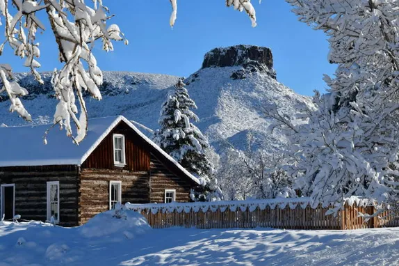 New Year’s Eve and Food for Golden Families