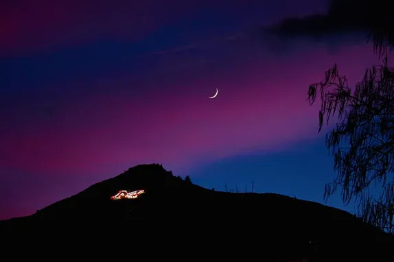 Trivia and Traffic Safety Features