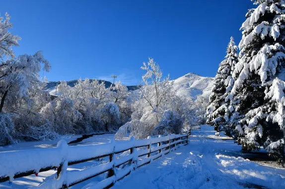 A Woman’s Life in Golden and the January Preview