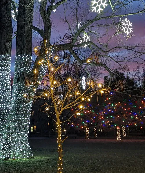 Mines Football, Characters Downtown, Homestead Holiday, and a Practice Blackout