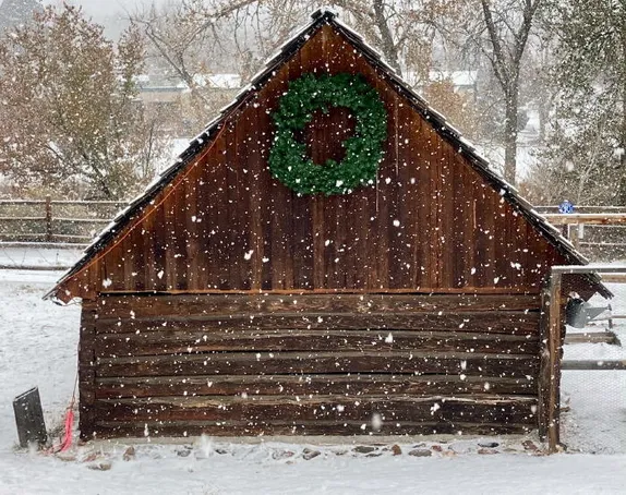 Snow on the Ground, Music in the Bars, and a Party Train