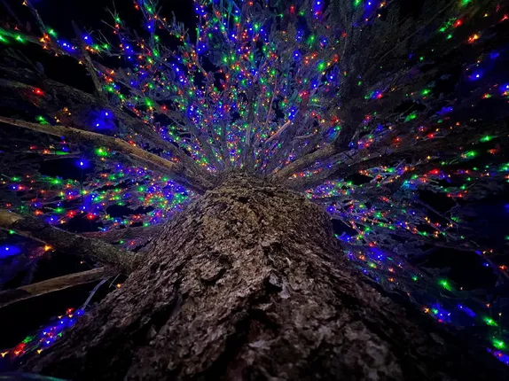 Golden Christmas Now and Then