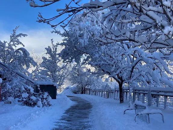 Mario and Music and Firefighters and Playgrounds