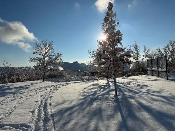 Public Art in 2023 and Satisfactory Progress in 1904