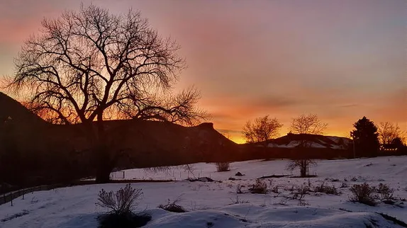 Textiles, Psychedelic Sips, and Spittoons