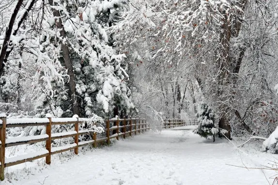 Rezoning, Deaccessioning, and Rehabilitating