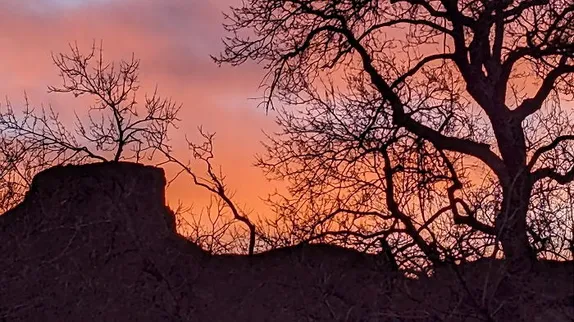 Construction, Decals, and the March Preview