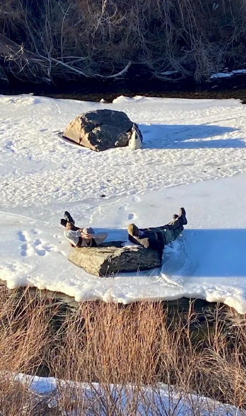 Startups, Sustainability, and the Environmental Film Festival