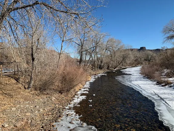 Sunday at the Museum, Symphony, Swing Dance, and Super Bowl