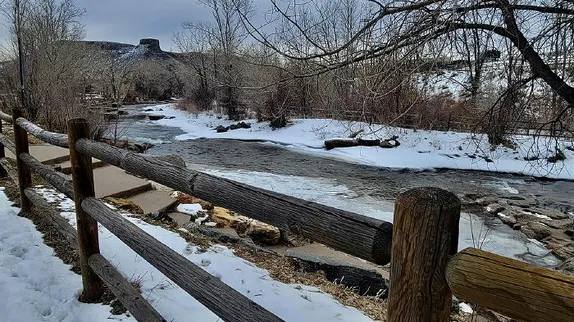 Puppy Yoga, Local Art, Live Music, and the Iron Horse Motel