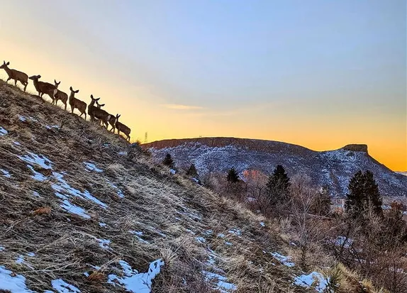 Public Art, Apres Wednesday, Women’s Activism, and Alumni Gatherings