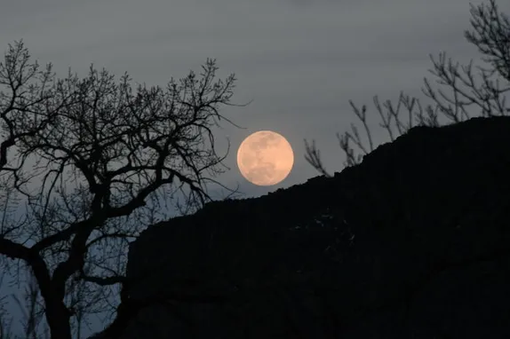 Full Moon, Lunch & Learn, Trivia, and an Old Photo