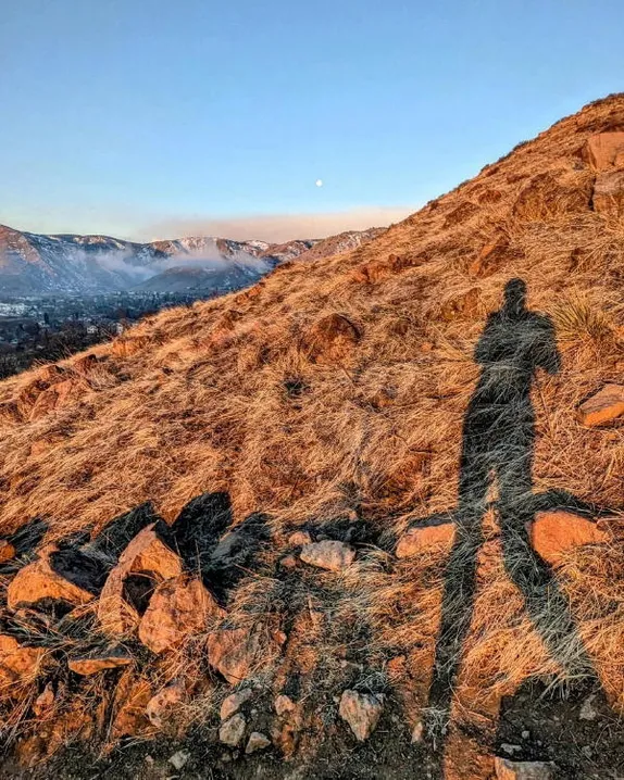 Gardening, Dancers, Rodeo, Clocks, and Three Years of History