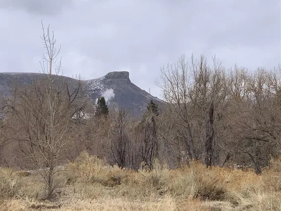 Iguanodonts, Spongebob, and 1916